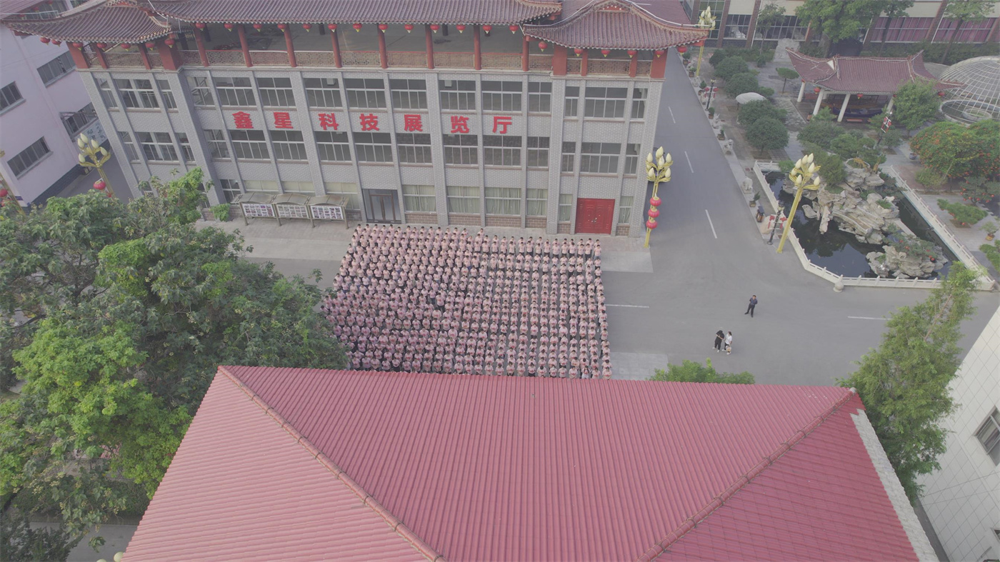 公司环境